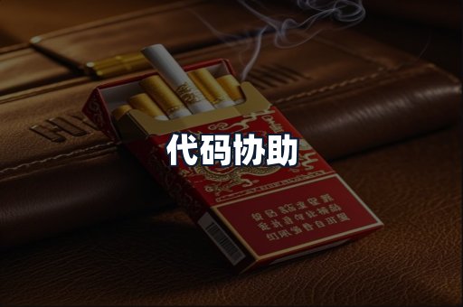 代码协助